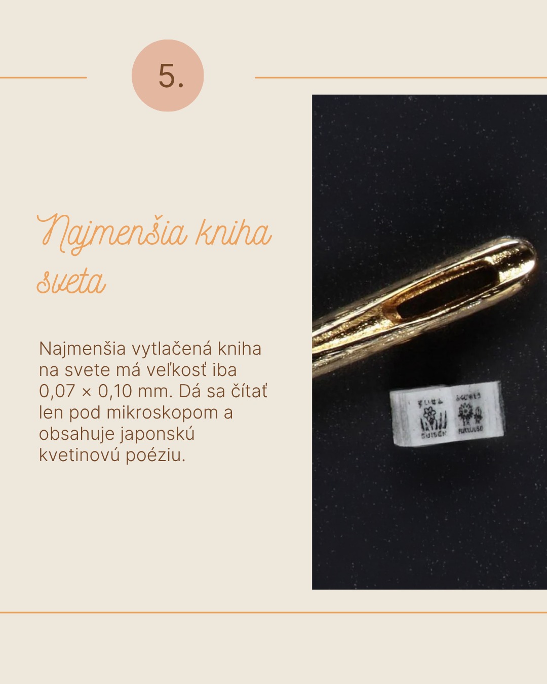 8 zaujímavosti zo sveta kníh 6